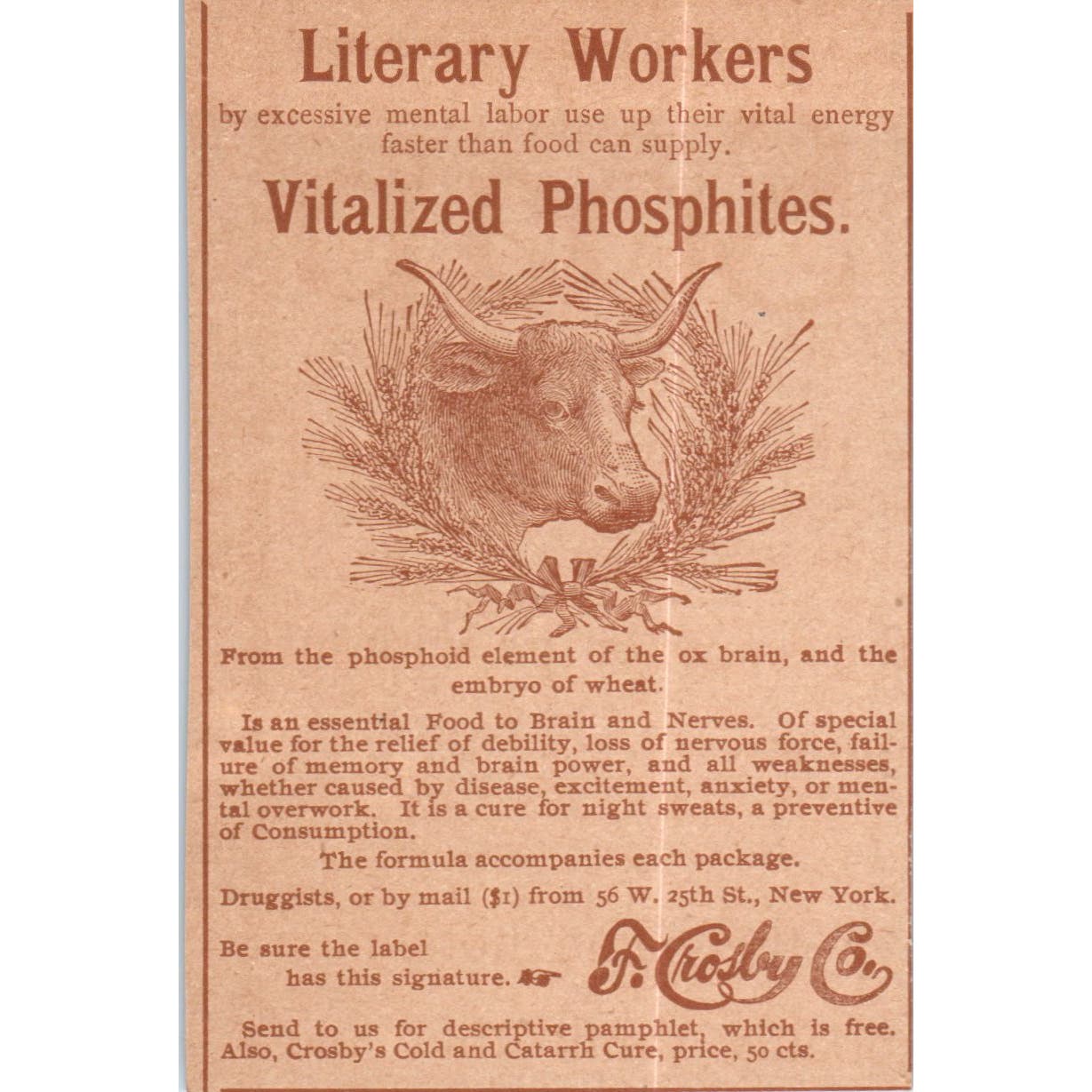 F. Crosby Co Vitalized Phosphites Consumption c1890 Victorian Ad AE8-CH7