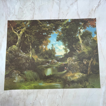 1919 Moray Forest Scene Art Print Lithograph 12x16 FL6-4