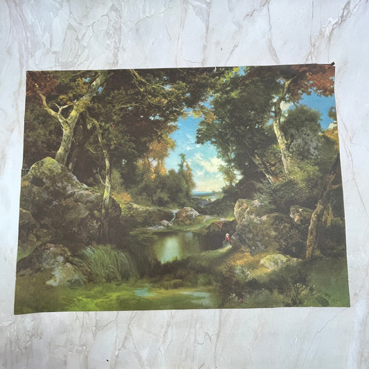 1919 Moray Forest Scene Art Print Lithograph 12x16 FL6-4