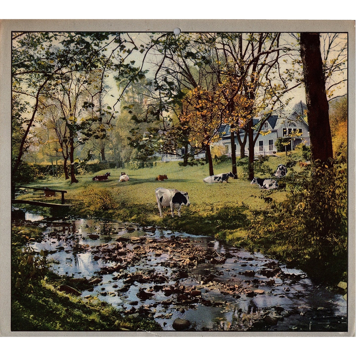 1949 Retro Kitsch Cows Grazing by Stream Vintage Art Print 8x10 V5