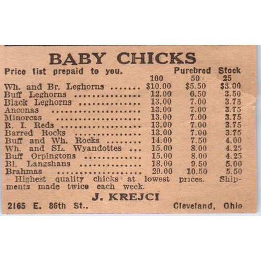 Baby Chicks J. Krejci Cleveland Ohio 1922 Magazine Ad AF2-S8