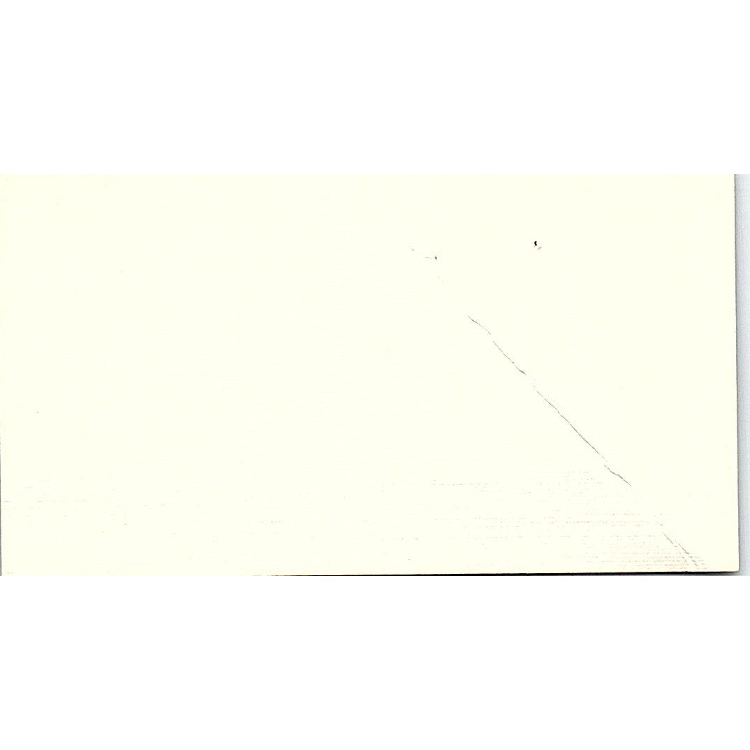 Mary Freeman Ruppman Marketing Services Dallas Vintage Business Card SE3-B16