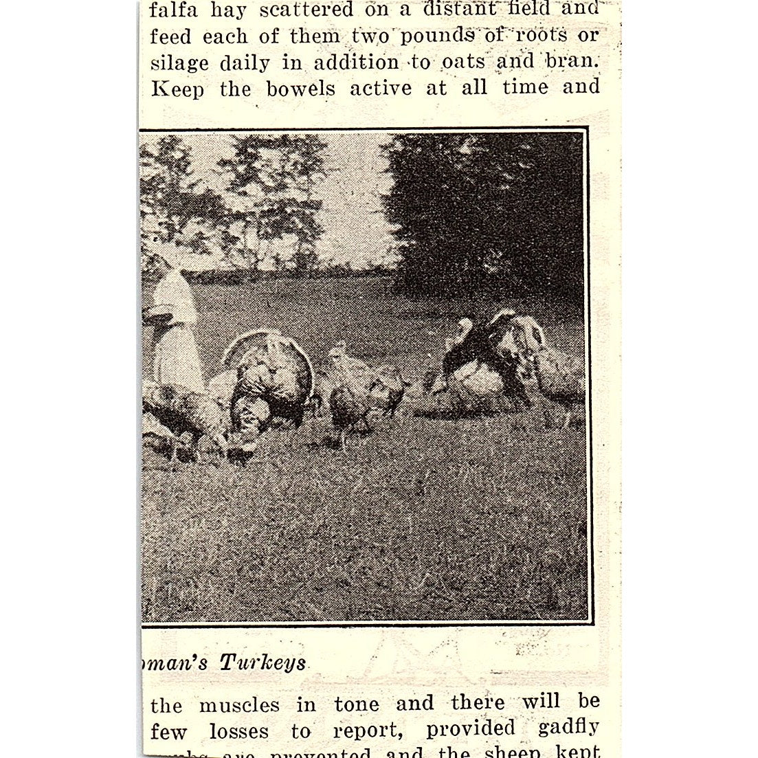 Duane H Nash Acme Coulter Harrow Philadelphia PA 1924 Ad AG3-M3