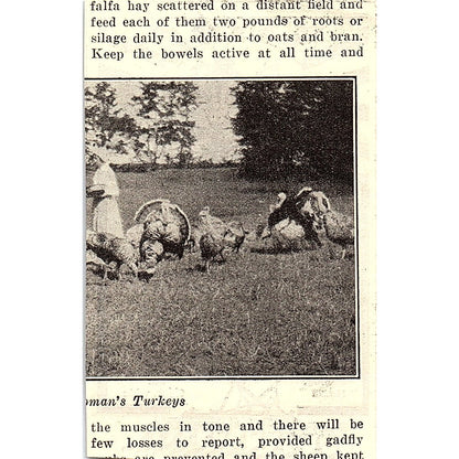 Duane H Nash Acme Coulter Harrow Philadelphia PA 1924 Ad AG3-M3