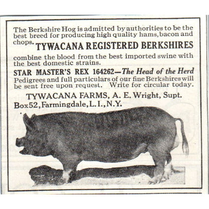 Tywacana Farms A.E. Wright LI NY Berkshires 1913 Magazine Advertisement AE7-N7