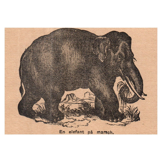 En Elefant Pa Marsch 1909 German Engraving Print AF5-M4