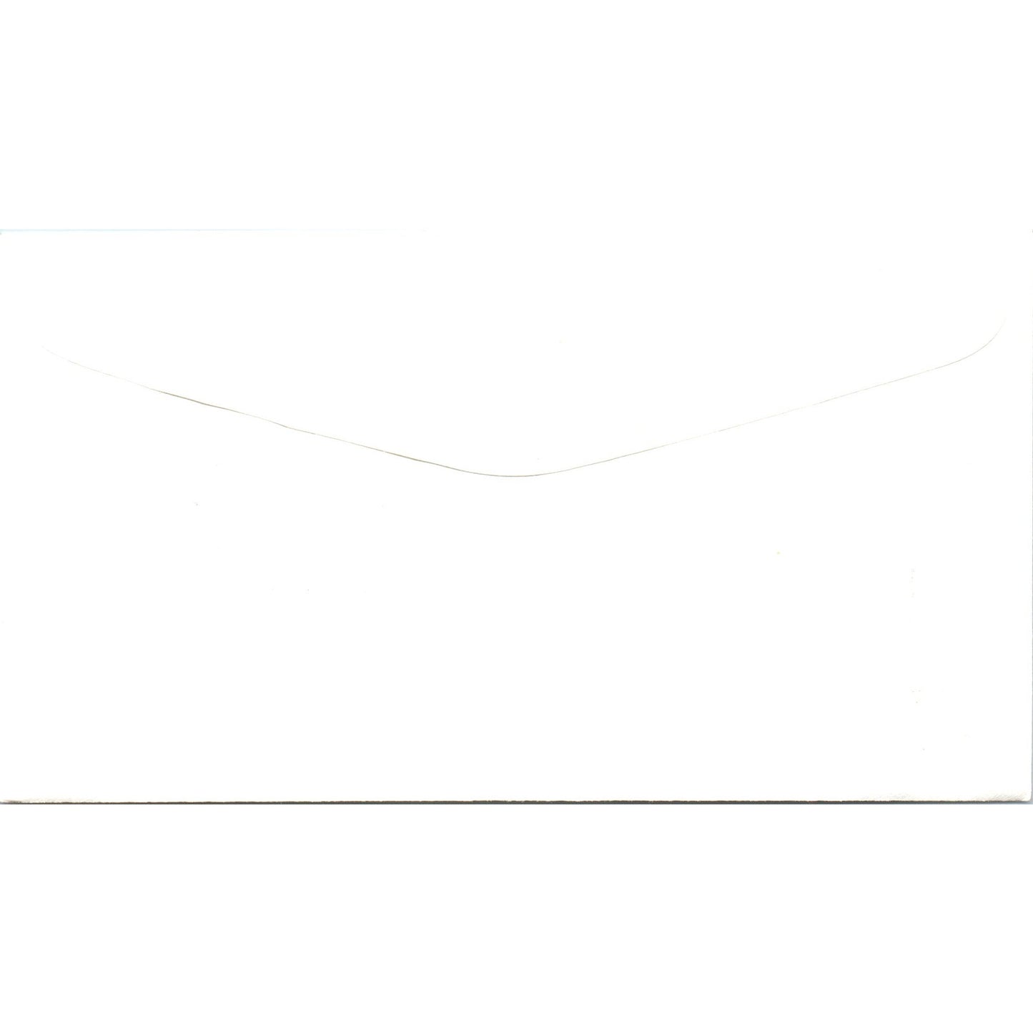 Kentucky 1982 State Birds & Flowers of The Border States First Day Issue TJ5-PC3