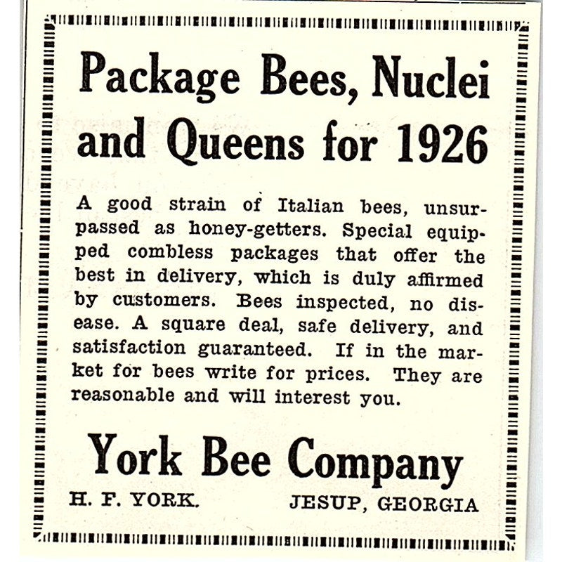 York Bee Company Package Bees Nuclei H.P. York Jesup GA 1926 Ad AG3-S23
