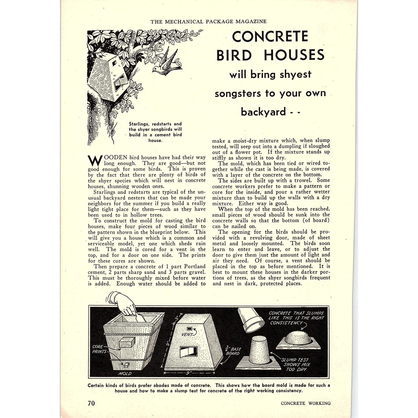 Concrete Bird Houses DIY Project 1931 Article AG1-14