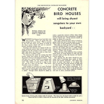 Concrete Bird Houses DIY Project 1931 Article AG1-14
