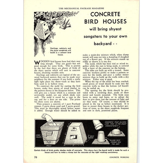 Concrete Bird Houses DIY Project 1931 Article AG1-14