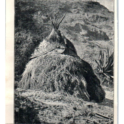 Mysterious Figure From Malta 1897 Victorian Print AE9-TS11