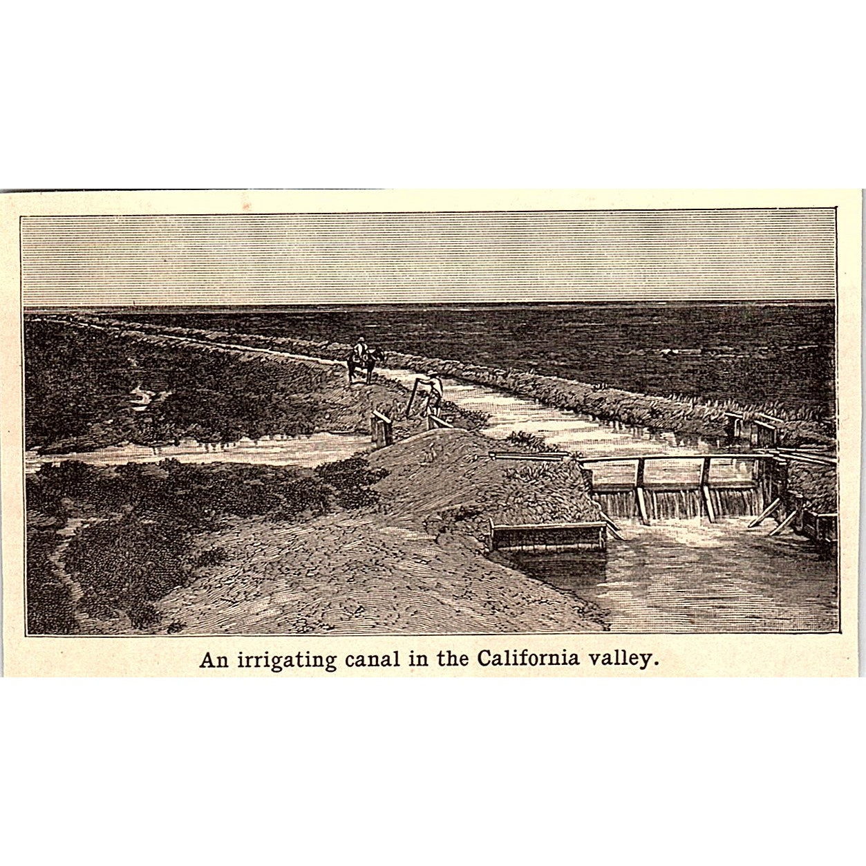 An Irrigating Canal in the California Valley 3x4" 1901 Engraving AF6-M11