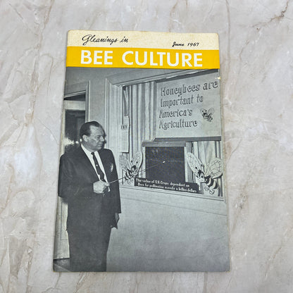 1967 June Gleanings in Bee Culture Magazine Bees Beekeeping Honey TD7