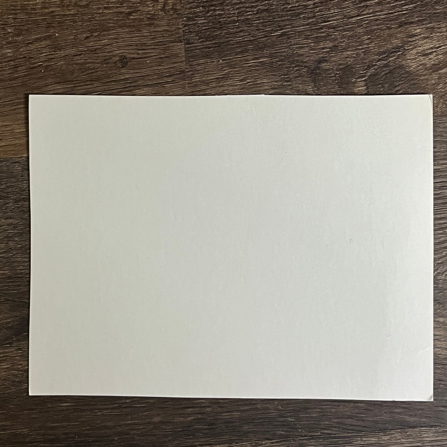 Antique Coyote Canis Latrans A.R. Dugmore 6x9 Art Print V2