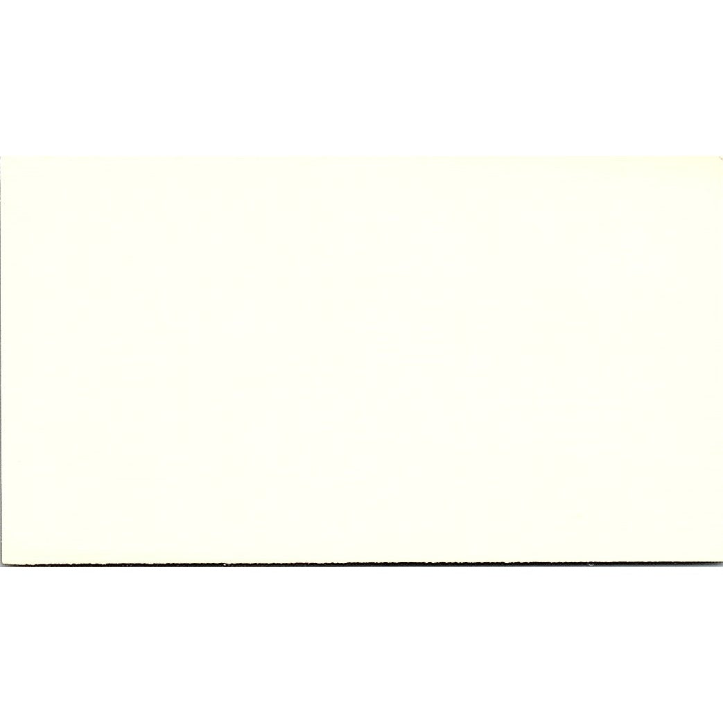 Mesirow Financial Corporation Mary Kay Hanevold Chicago IL Business Card SF3-B4