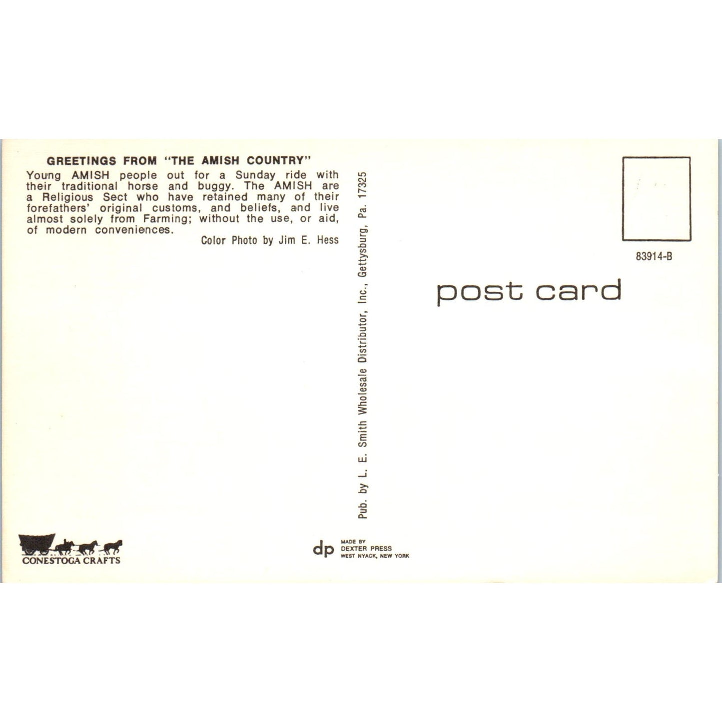 Amish People on Sunday Buggy Ride Pennsylvania Dutch Country Postcard PD7