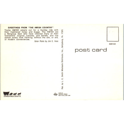 Amish People on Sunday Buggy Ride Pennsylvania Dutch Country Postcard PD7