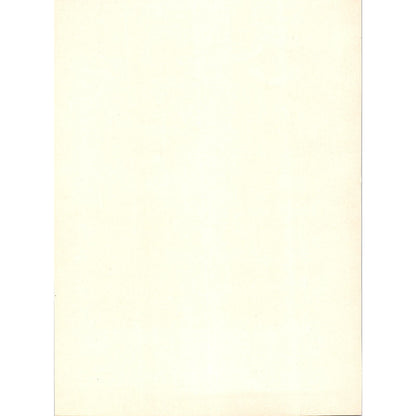 Portrait of Mariano De Goya - Goya c1905 Art Print D14