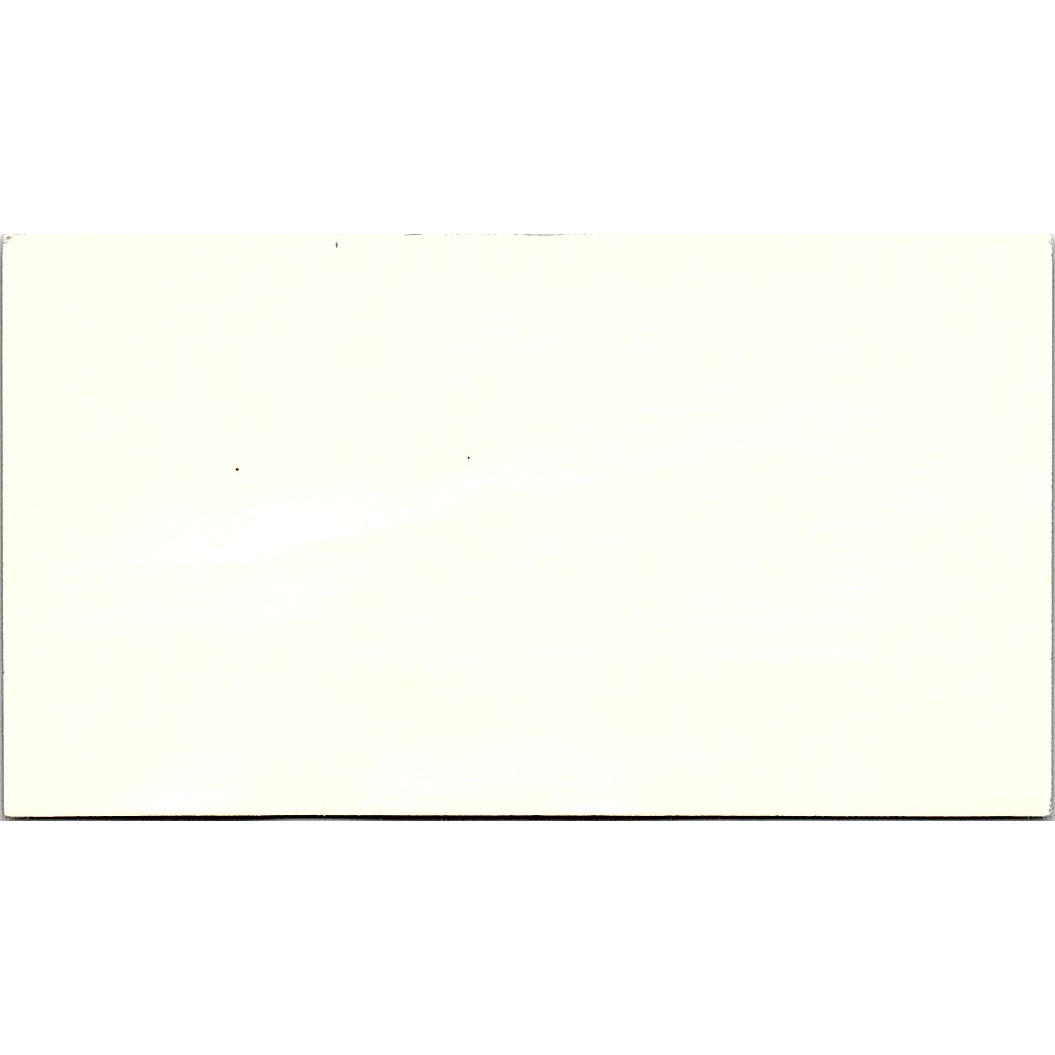 Arlen Leasing Office Lena Dunn Apartments Houston Vintage Business Card SE3-B15