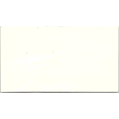 Arlen Leasing Office Lena Dunn Apartments Houston Vintage Business Card SE3-B15