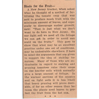 Shade For Fruit Article New Jersey 1922 Magazine Ad AF2-A5