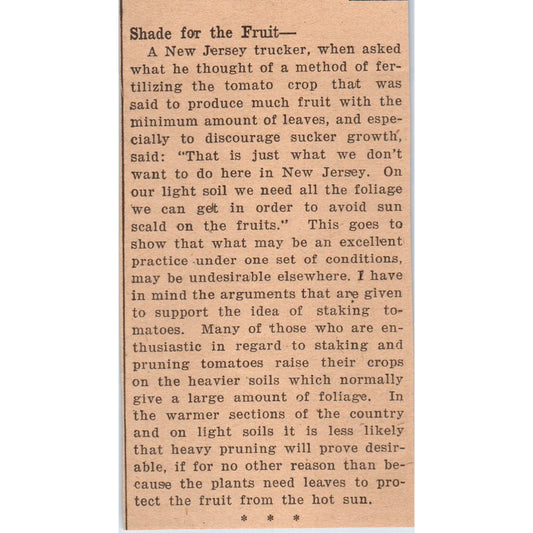 Shade For Fruit Article New Jersey 1922 Magazine Ad AF2-A5