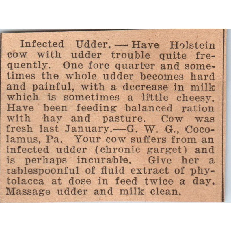 Infected Udder Article Cocolamus PA 1922 Magazine Ad AF2-S9