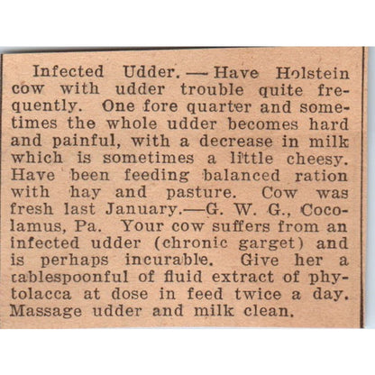 Infected Udder Article Cocolamus PA 1922 Magazine Ad AF2-S9