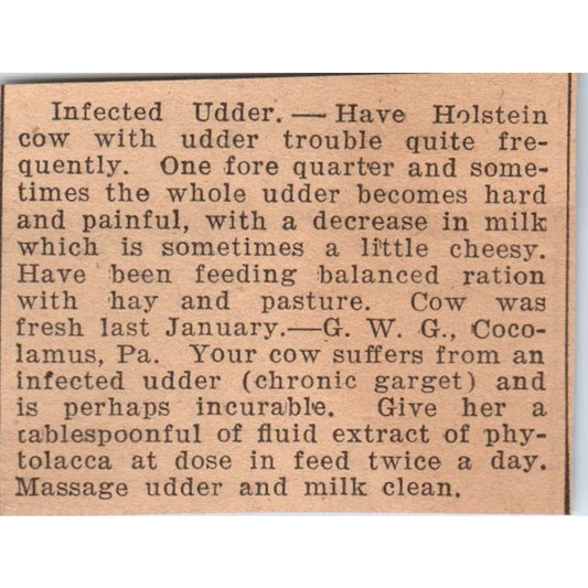 Infected Udder Article Cocolamus PA 1922 Magazine Ad AF2-S9