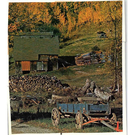 Retro Kitsch Girls Autumn Farm Gathering Firewood Vintage Art Print 5x6 V12