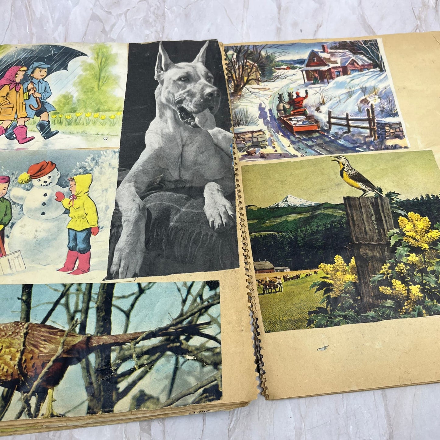 1950s Children's Scrapbook of Pictures Mostly Religious and Animals FL6-2