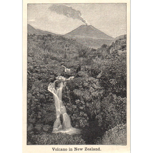 Volcano in New Zealand 1901 Engraving AF2-P1