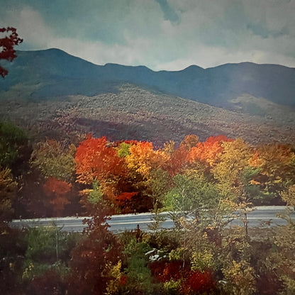 The Kancamagus Highway, White Mountains National Forest 12x16" Art Print FL1