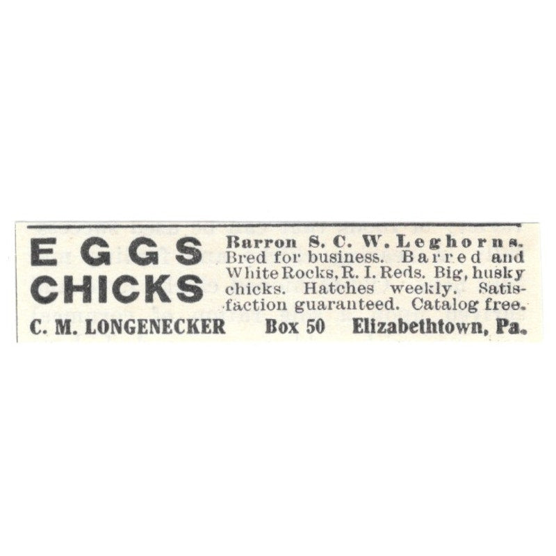 C.M. Longnecker Eggs Chicks Elizabethtown PA 1924 Ad AG3-S8