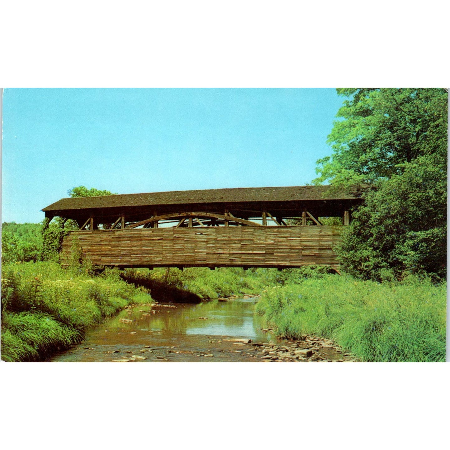 Old Covered Bridge at Whitepine Williamsport PA Covered Bridge Postcard PB13