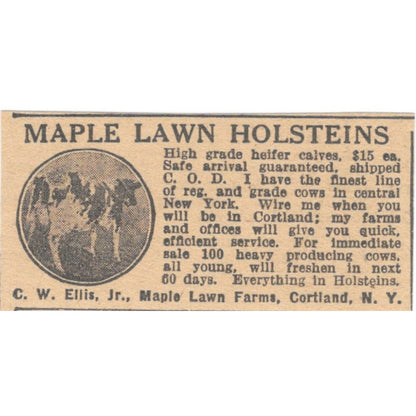 C.W. Ellis Jr. Maple Lawn Farms Holsteins Cortland NY 1922 Magazine Ad AF2-T7