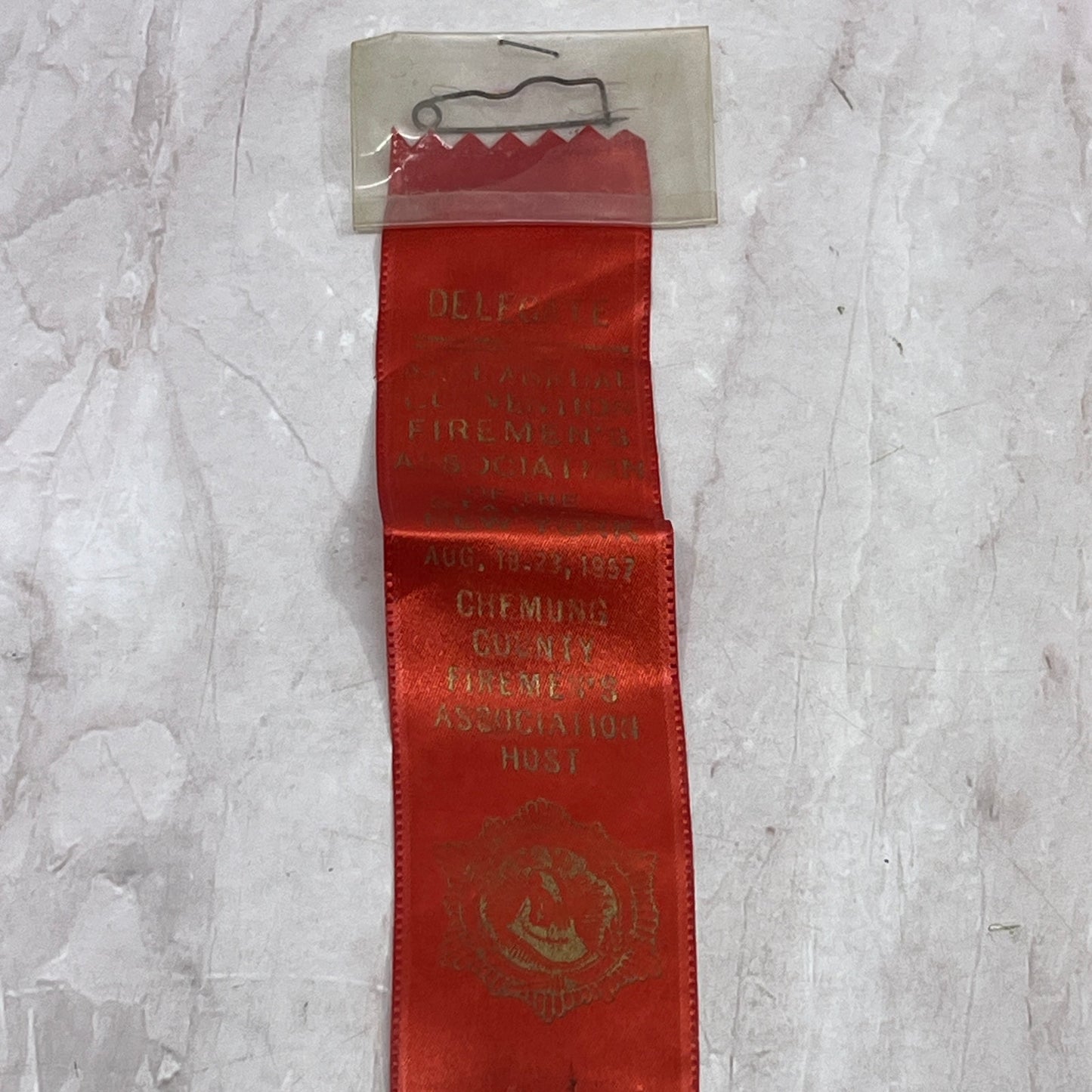 1957 New York Firemen's Association Convention Chemung County Delegate Pin SF4