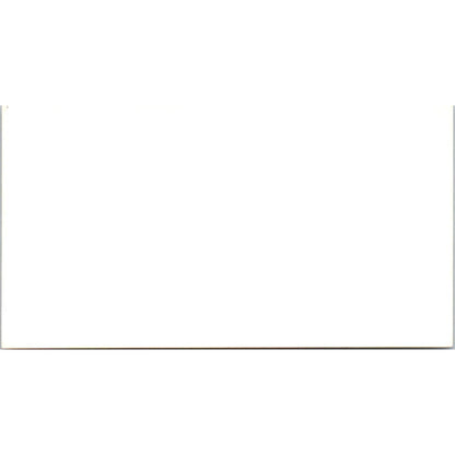 Anabella Pruneda Kwik-Kopy Houston TX Vintage Business Card SD4-B3