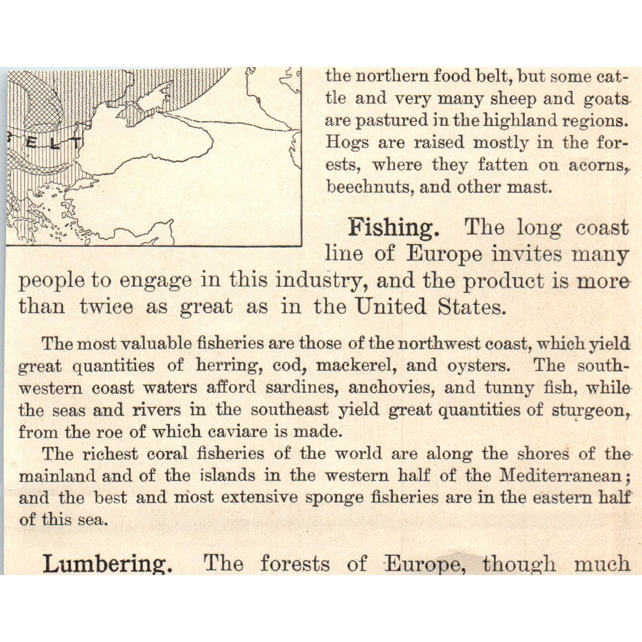 Ancient Ruins in Rome 1901 Engraving AF2-P3