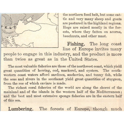 Ancient Ruins in Rome 1901 Engraving AF2-P3
