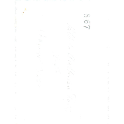 1920s Original Photo Man on Bridge Near Arethusa Falls Crawford Notch NH 3x4 AE6