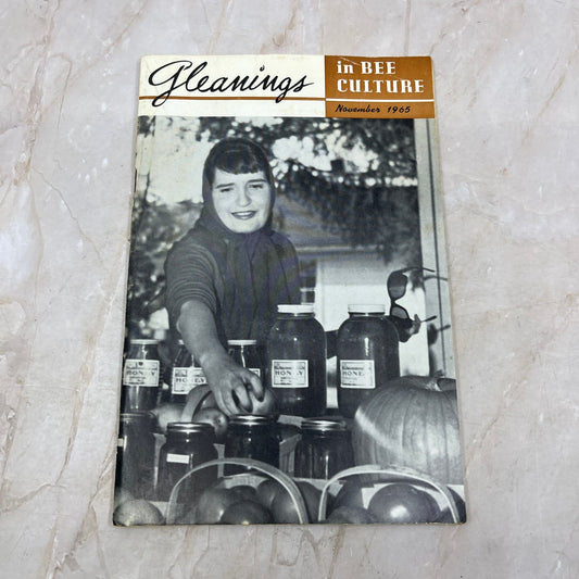 1965 Nov Gleanings in Bee Culture Magazine Bees Beekeeping Honey TD7