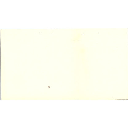 Rollins Environmental Service Rick Smith Houston TX Vintage Business Card SF3-B7