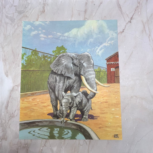 1950s Kitsch Elephants at the Zoo Jacob Bates Abbott Art Print 10x12 FL6-4