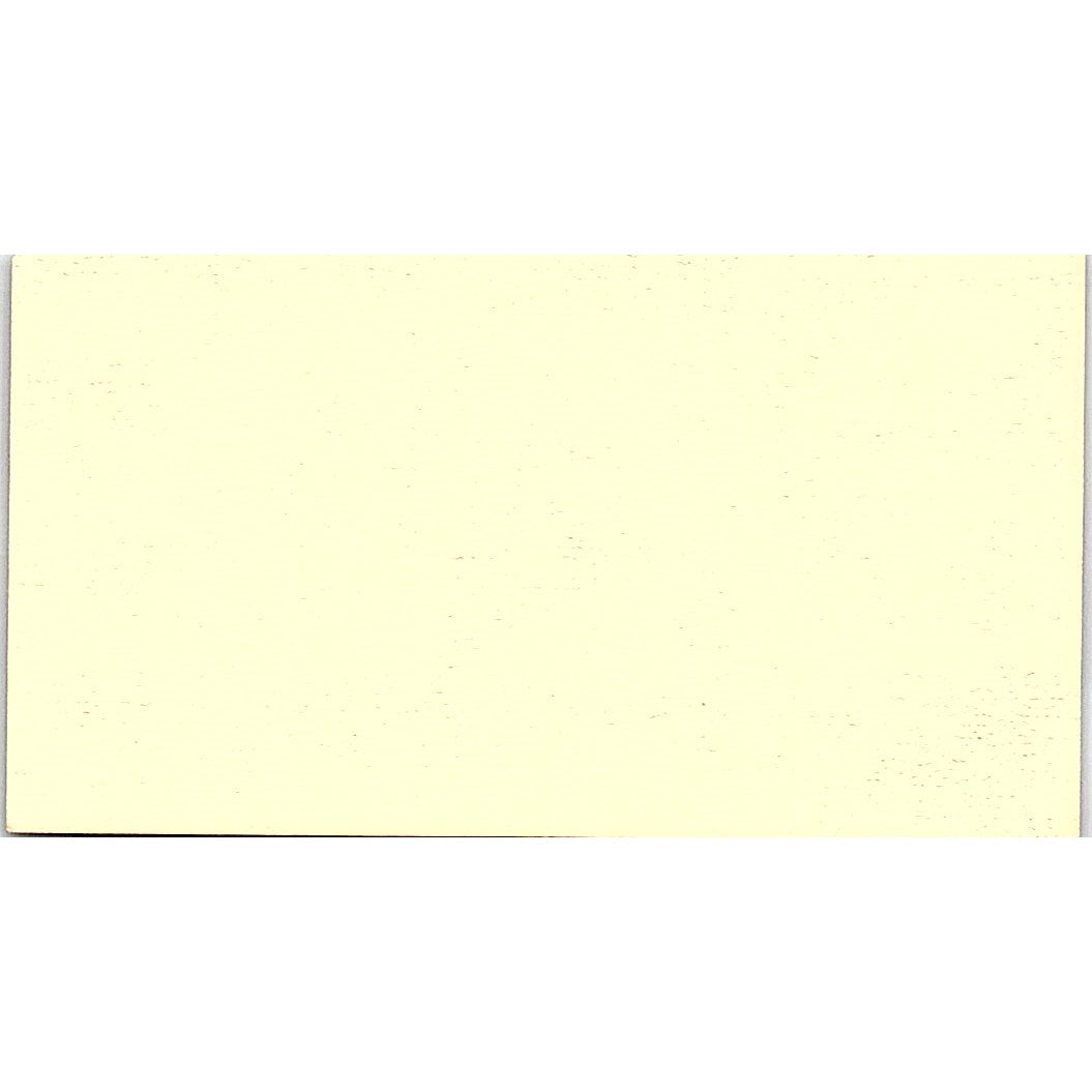 Todd Lundquist Dutch Holland Oldsmobile Baytown TX Vintage Business Card SD9-B12