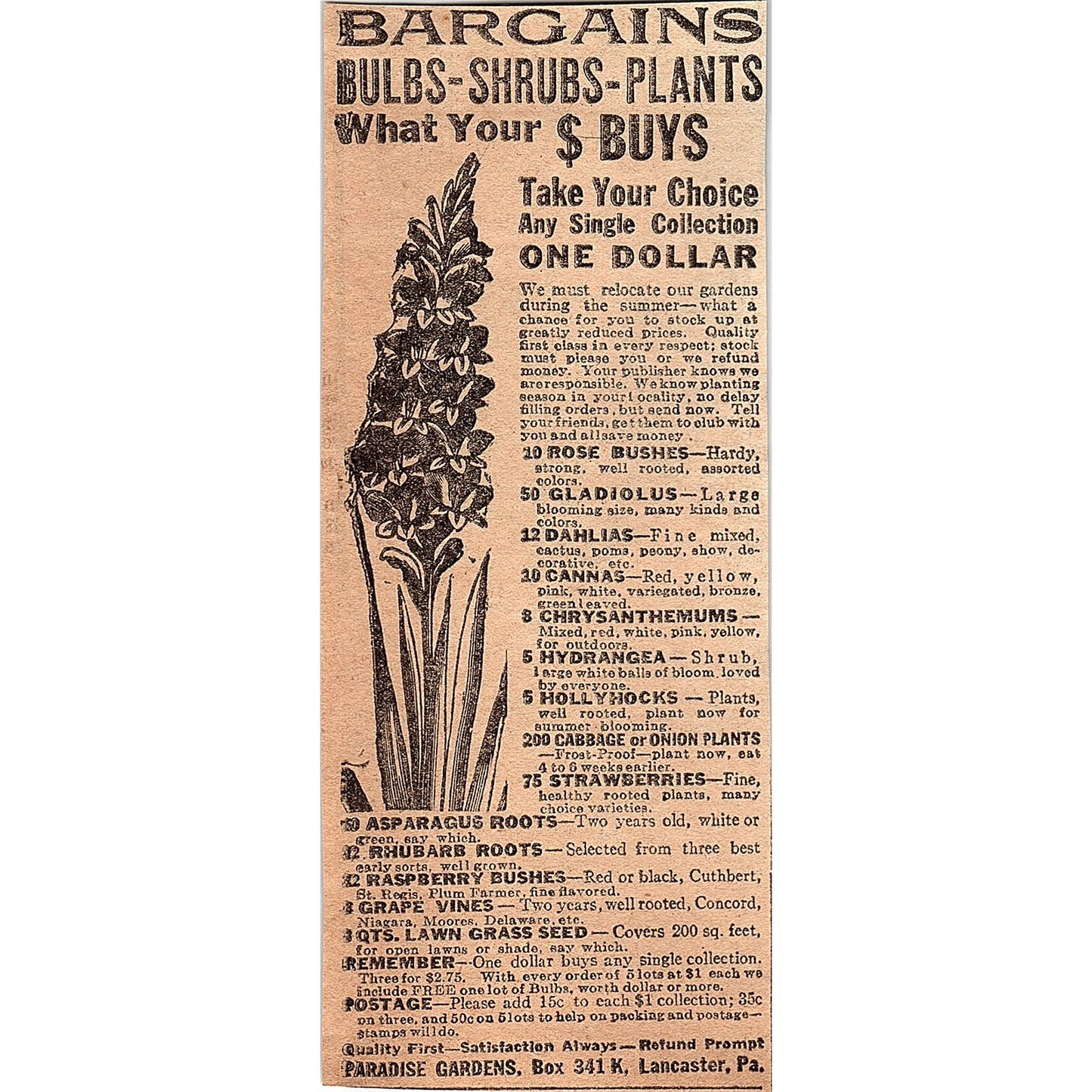 Paradise Gardens Bulbs, Shrubs, Plants Lancaster PA 1926 Ad AG3-4