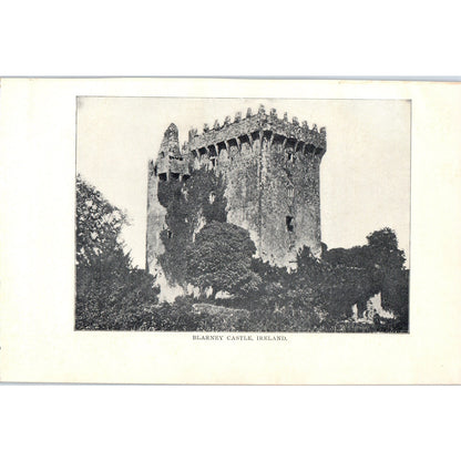 Blarney Castle England 1901 Original Print AD8-H9