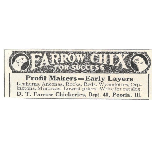 Farrow Chix D.T. Farrow Chickeries Peoria IL 1924 Magazine Ad AF7-SS4
