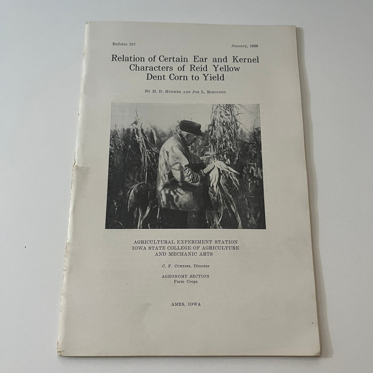 Relation of Reid Yellow Dent Corn to Yield 1929 Ames IA Farm Bulletin TK2-XB2